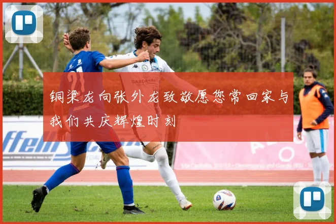 铜梁龙向张外龙致敬愿您常回家与我们共庆辉煌时刻