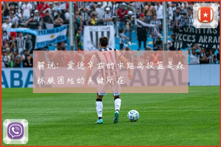 解说：爱德华兹的中距离投篮是森林狼团结的关键所在