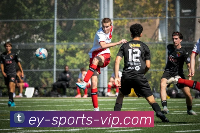 易游体育发展历程